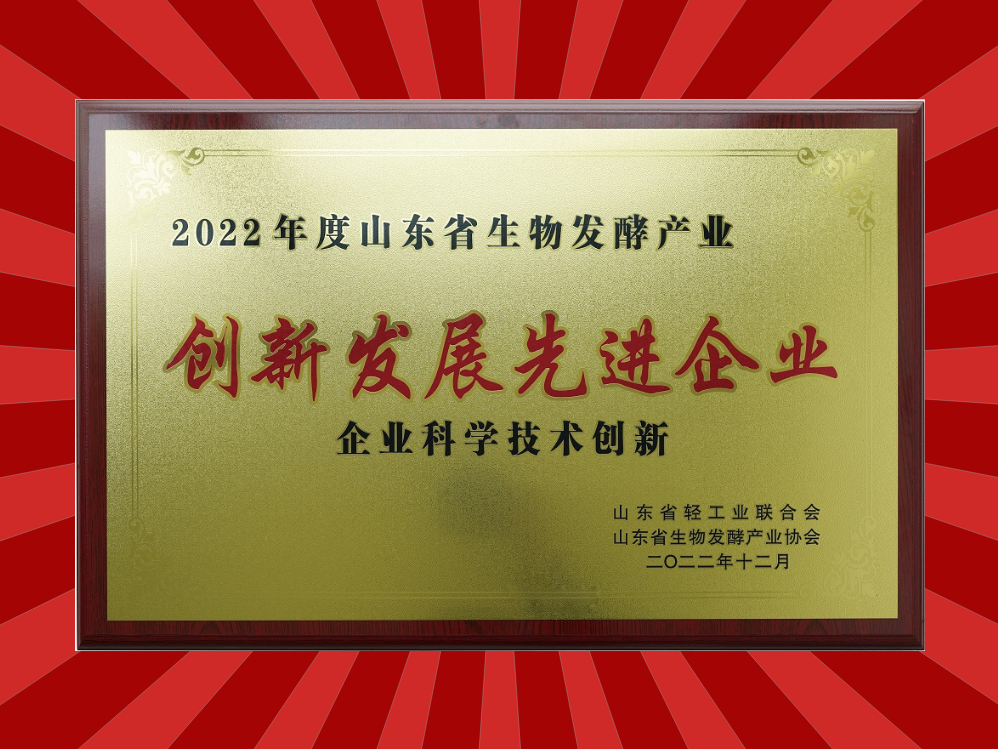 喜报！山东新航娱乐荣获2项企业奖！