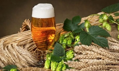 精酿啤酒中，如何选择恰当的浸麦方法？